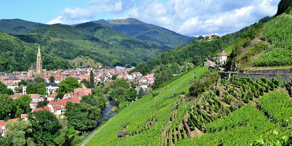 Sur la route des vignobles les plus insolites